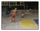 Untitled-1.gif