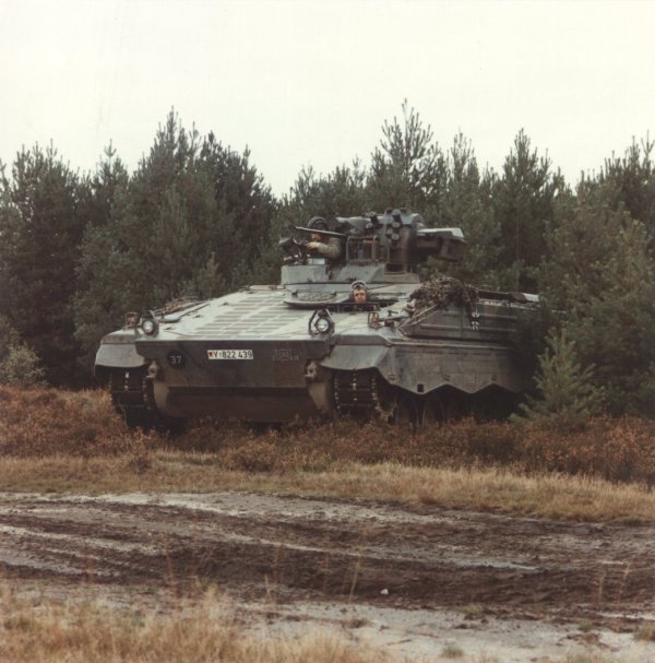 marder10.jpg